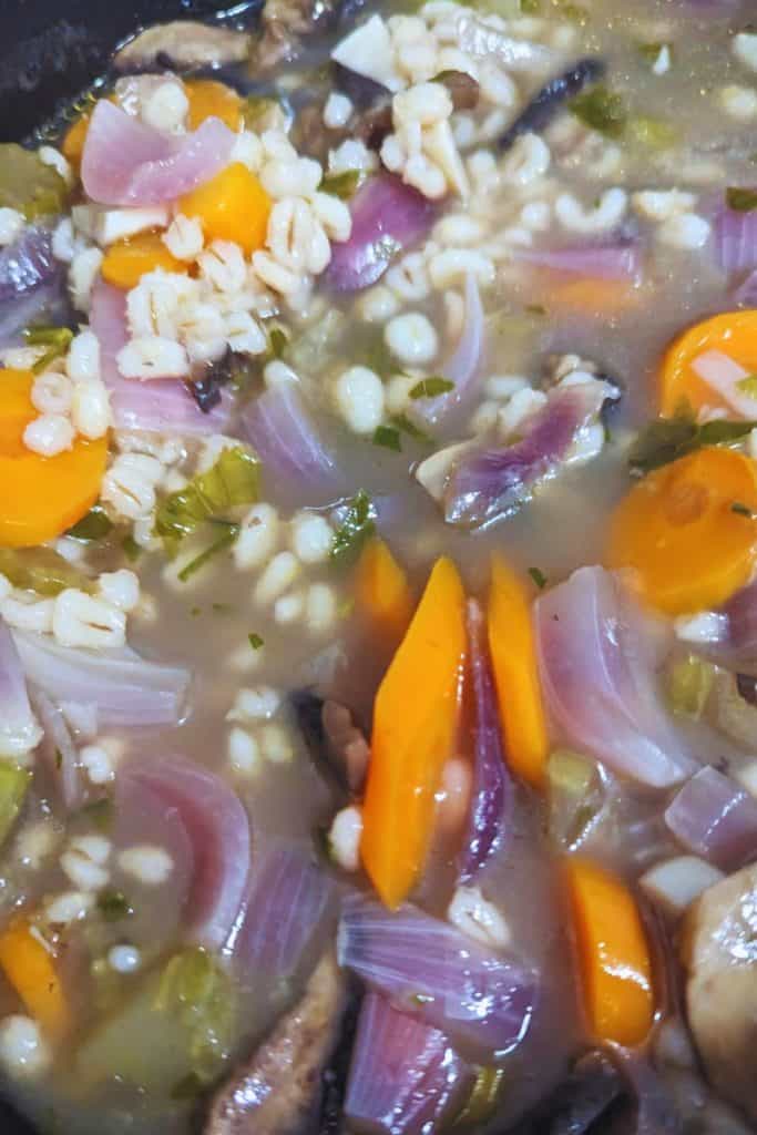 portobello mushroom pearl barley soup