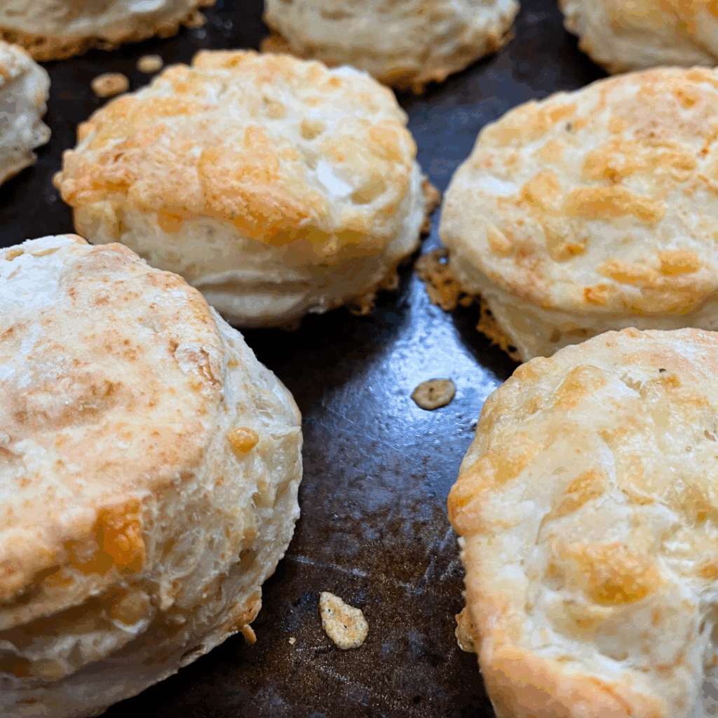 jalapeno cheese biscuits on dark metal baking sheet