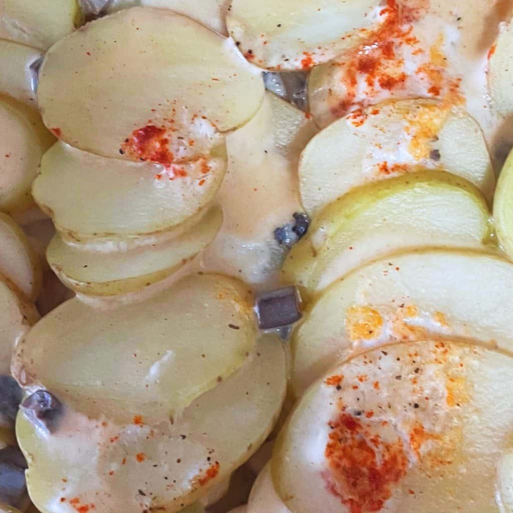 scalloped potatoes