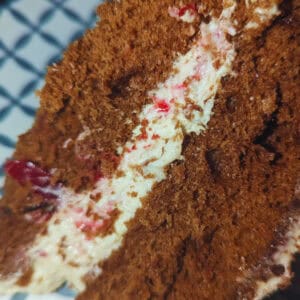 Layered Fudge Cake With Chocolate Ganache Candied Cranberries and Walnut Butter Buttercream Filling (1)