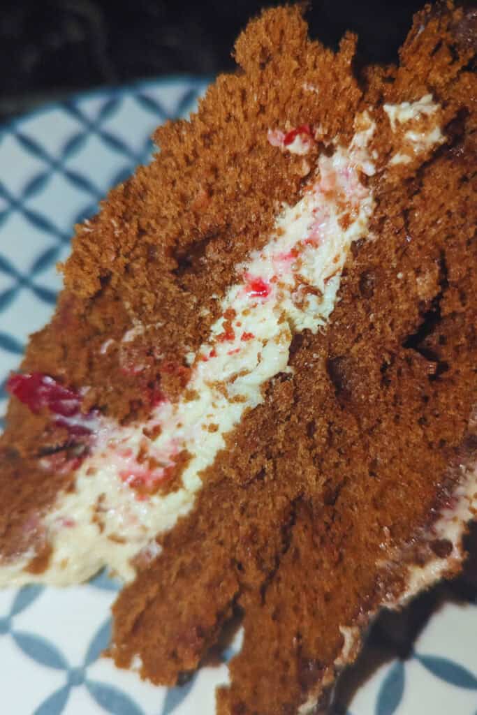 Layered Fudge Cake With Chocolate Ganache Candied Cranberries and Walnut Butter Buttercream Filling1