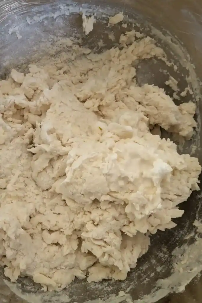 the biscuit dough before kneading