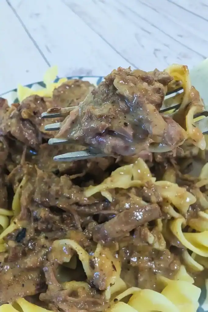 a forkful of the beefy sauce above a plateful of the beef and noodles
