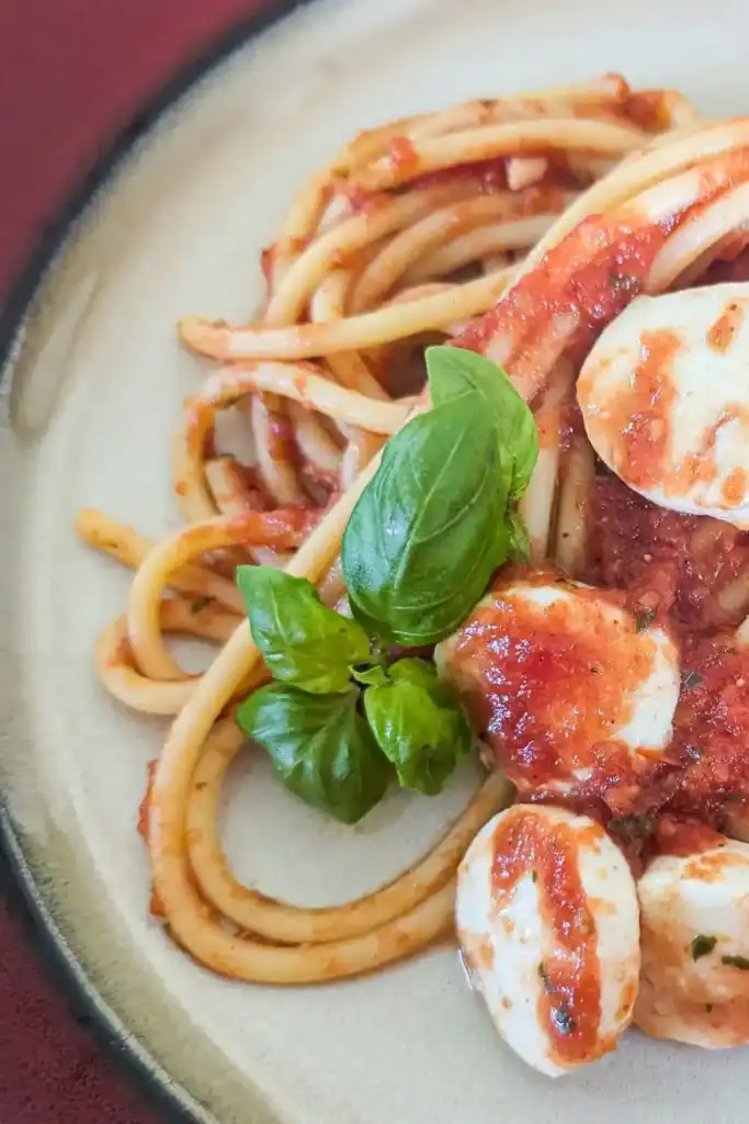 bucatini pasta with tomato basil sauce and fresh sprig of basil leaves on stone plate with red rim