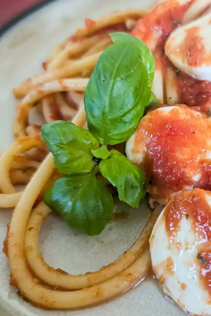 pasta on plate with fresh basil leaves