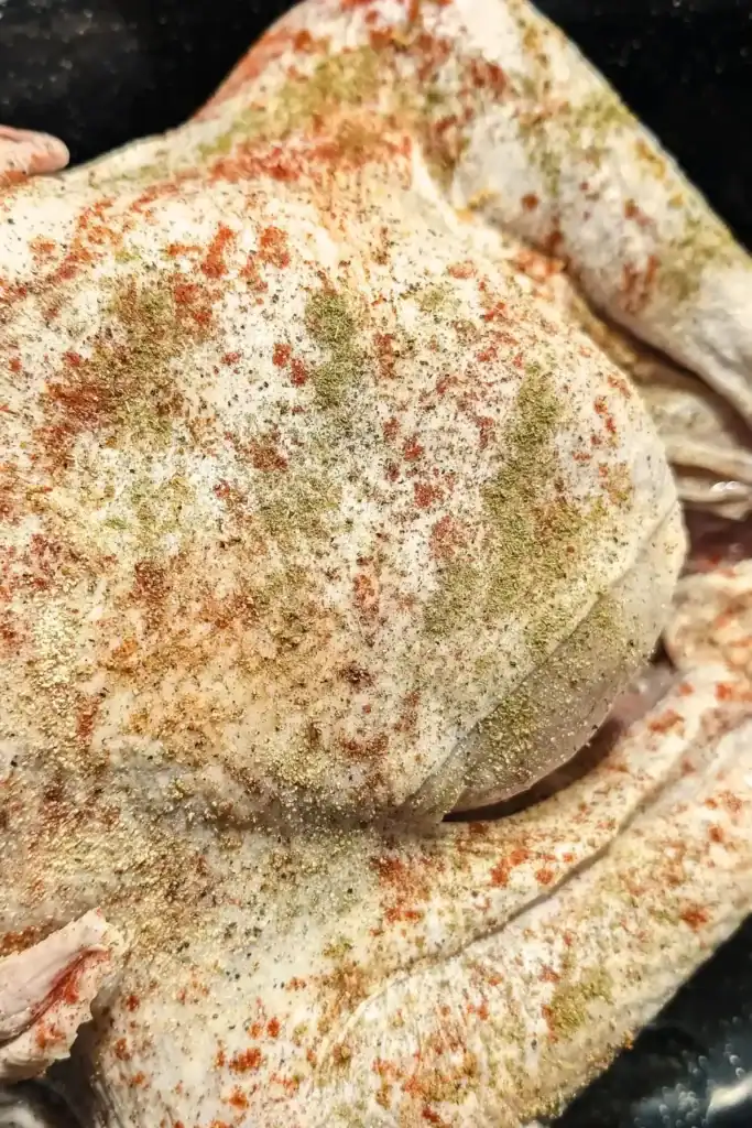 adding paprika to the skin of the whole raw turkey in roasting pan