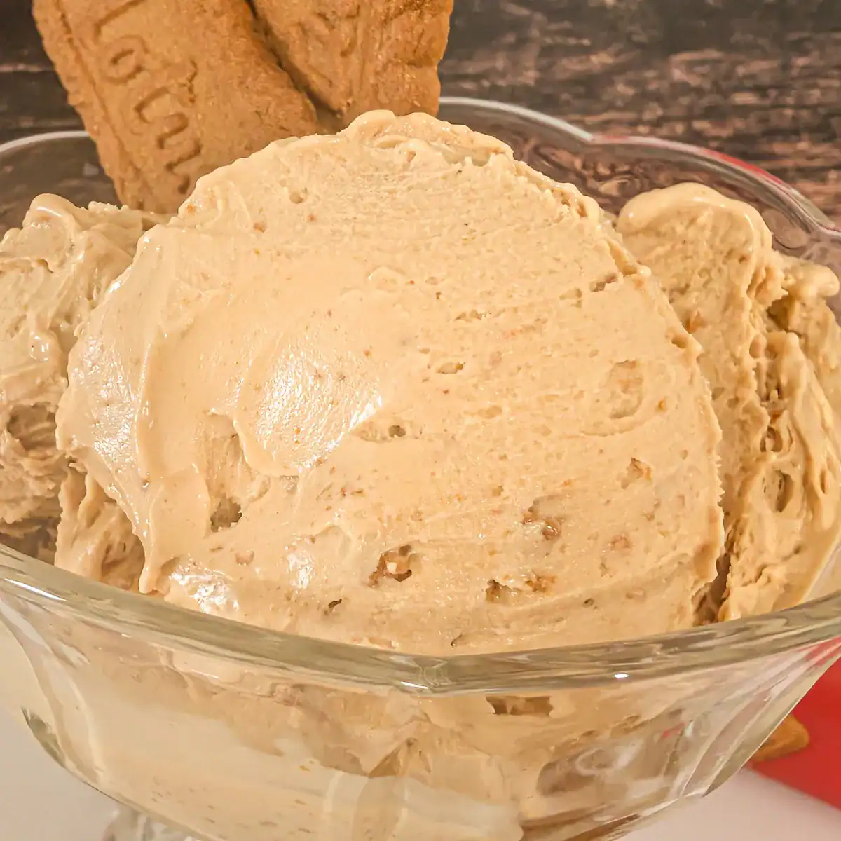 easy Biscoff cookie ice cream ninja creami recipe in fancy glass dessert cup