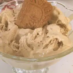 easy biscoff cookie recipe ninja creami recipe