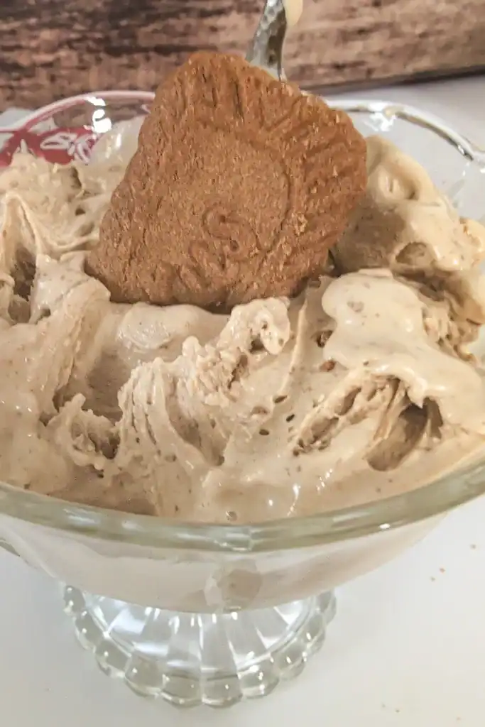 starting to melt cookie butter ice cream in dish with half a biscuit