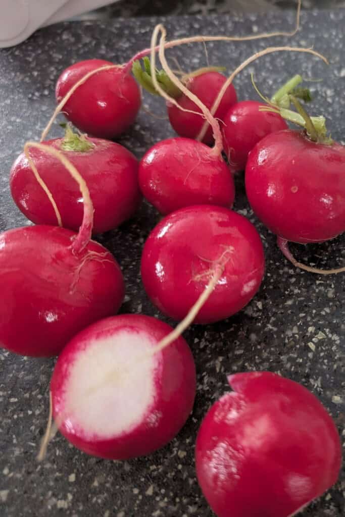 Bright red radishes ready for pickling and quick preparation.