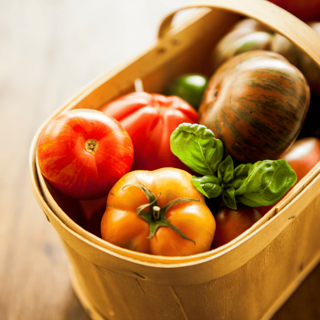 Variety of fresh tomatoes in a basket for cooking and recipes.