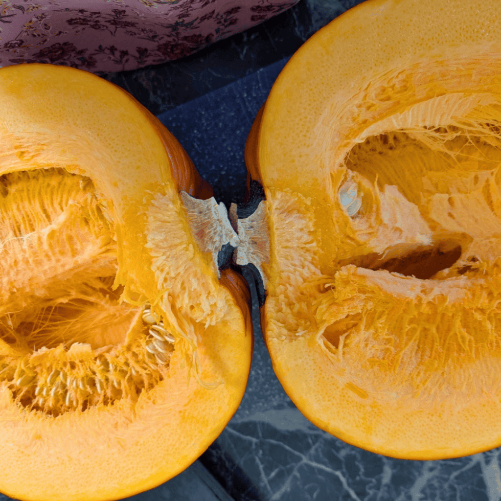 whole pumpkin open faced cut in half
