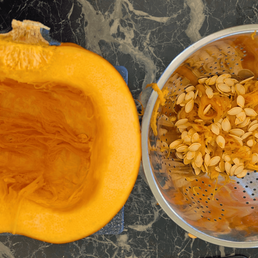 half of whole pumpkin with guts removed