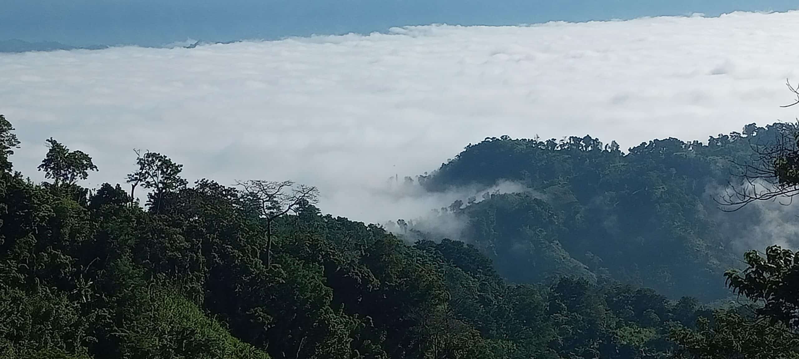 Vast cloud-covered mountain landscape with lush greenery and mist around forested hills, beautiful scenic view, nature photography.