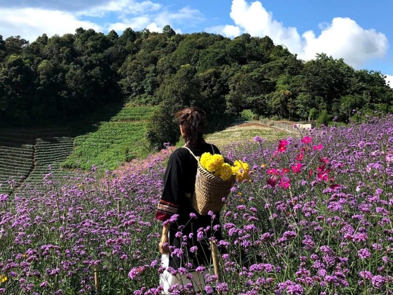 家庭出遊包車系列蒙占山