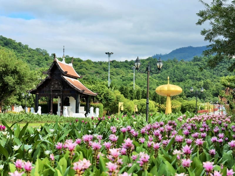 廢氏清邁私生活 Chiang Mai Journey - 茵他儂國家公園 (A) 純觀光一日遊
