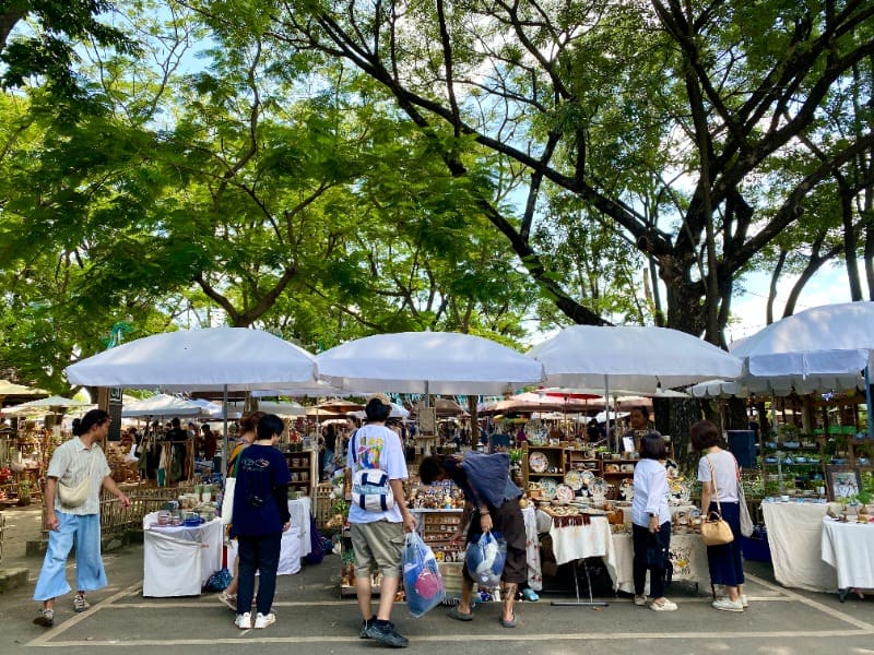 廢氏清邁私生活 Chiang Mai Journey - 茵他儂國家公園 (A) 純觀光一日遊