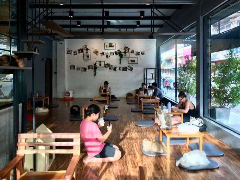 廢氏清邁私生活 Chiang Mai Journey - 茵他儂國家公園 (A) 純觀光一日遊