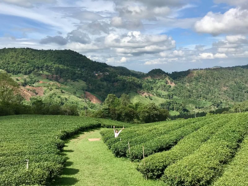 廢氏清邁私生活 Chiang Mai Journey - 茵他儂國家公園 (A) 純觀光一日遊