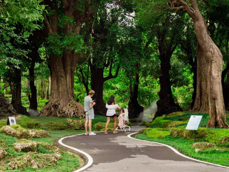 廢氏清邁私生活 Chiang Mai Journey - 茵他儂國家公園 (A) 純觀光一日遊