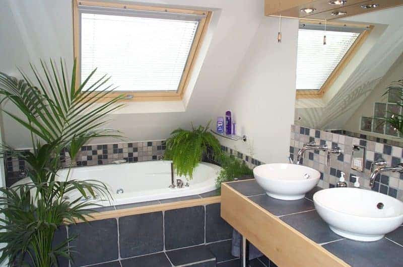 Loft 1