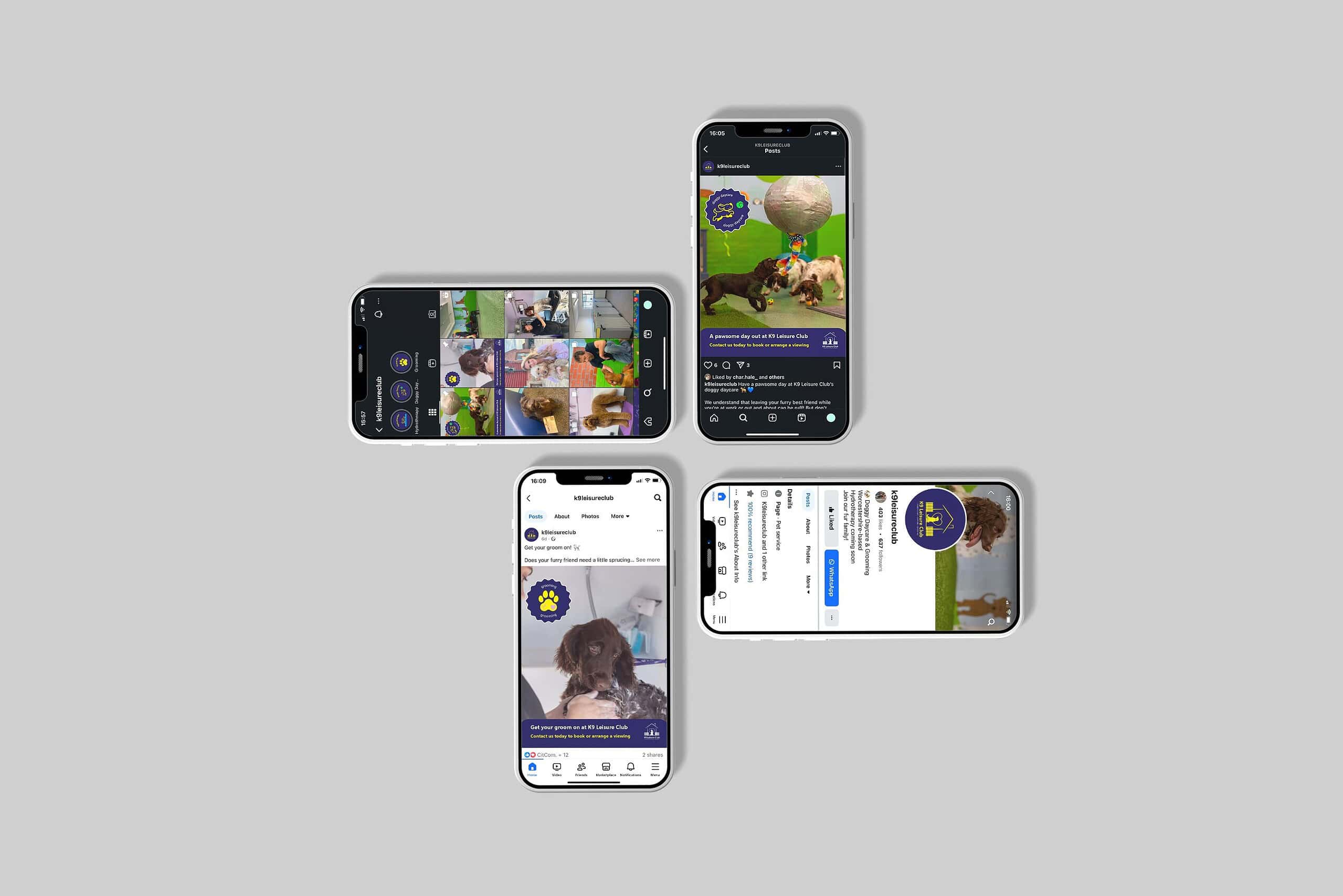 K9 Leisure Club Socials Mockup
