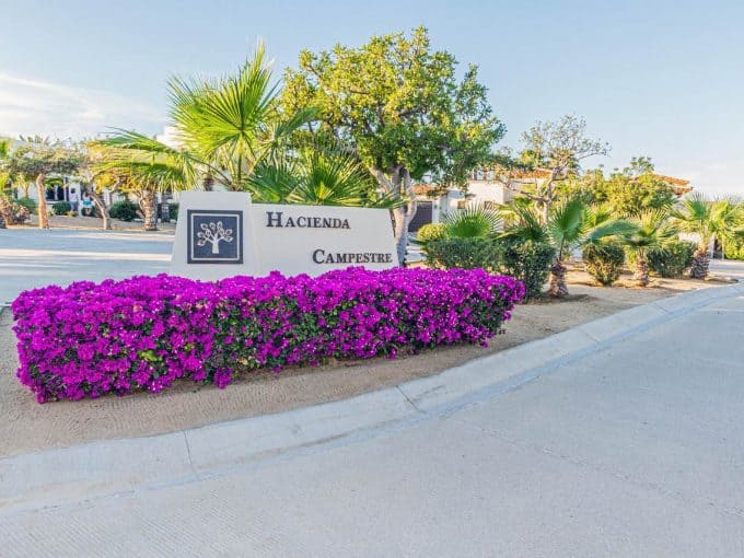 Club Campestre Entrance With Vibrant Purple Flowers And Lush Greenery, Showcasing A Luxurious Golf Community With Ocean Views.