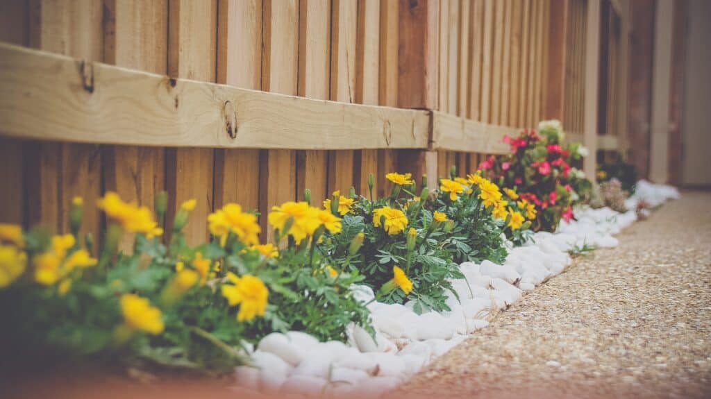 Cape Cod Landscaping Wisdom: Enhancing Your Property's Curb Appeal 1 landscaping wisdom