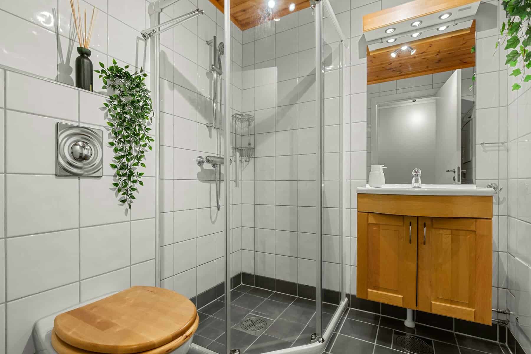 bathroom remodeling