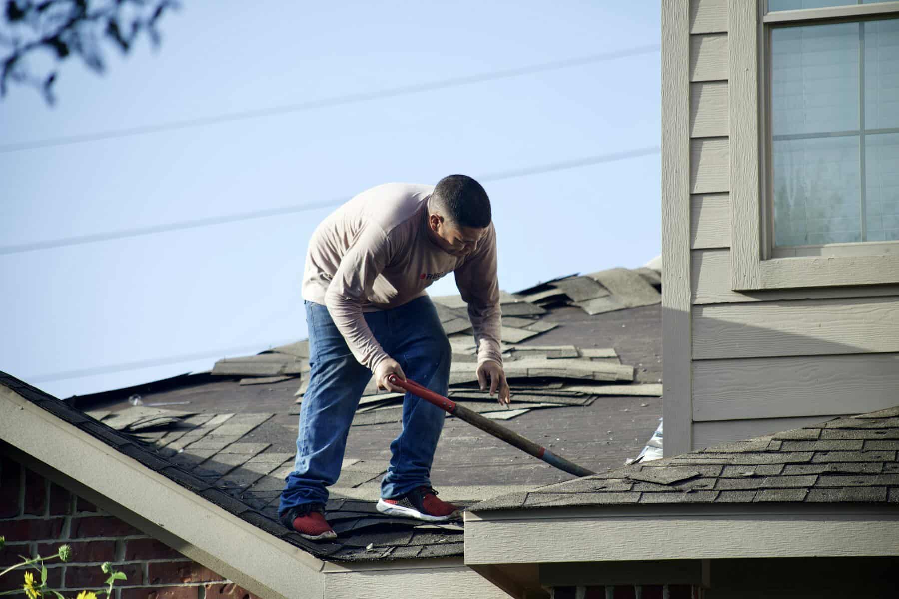 Roofer tearing off worn asphalt shingles down to the deck during a roof replacement, the tear off stage that drives new roof cost on Cape Cod