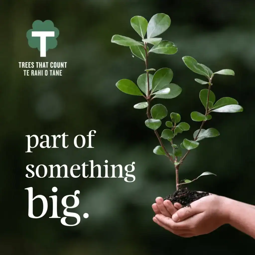 Trees That Count. Te Rahi O Tane. Part of something big.