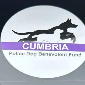 Car Sticker