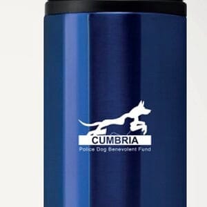 Insulated Tumbler 300ml