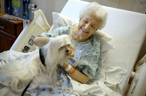 dog-and-elderly-300x199