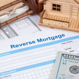 Medicaid planning, reverse mortgage