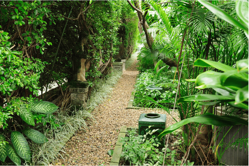 Peaceful green garden path lined with plants and wooden benches