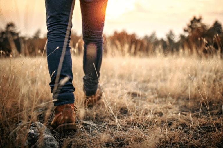 Person walking through a grassy field during golden hour