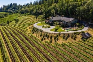 Elegant house surrounded by lush vineyards in Los Gatos, CA.