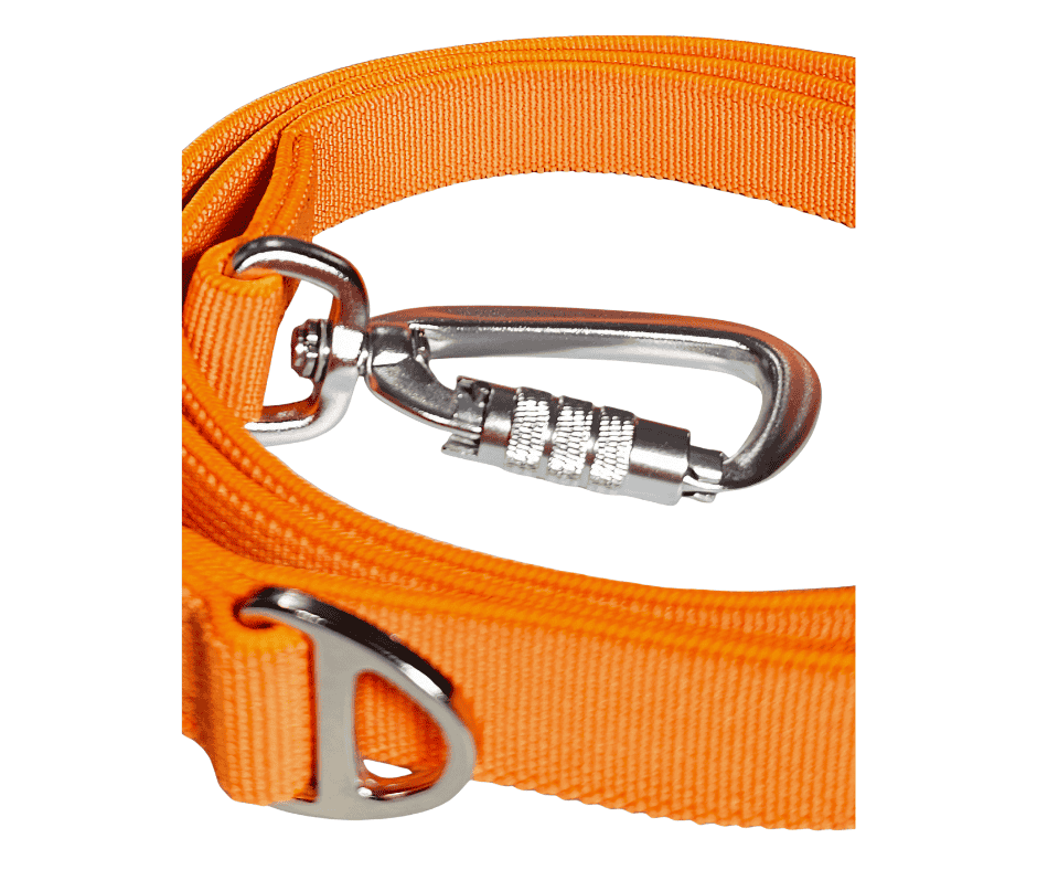 Durable orange dog lead with metal clip for secure attachment.