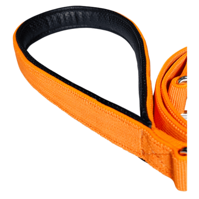 Durable orange dog collar with black lining for safety and comfort.