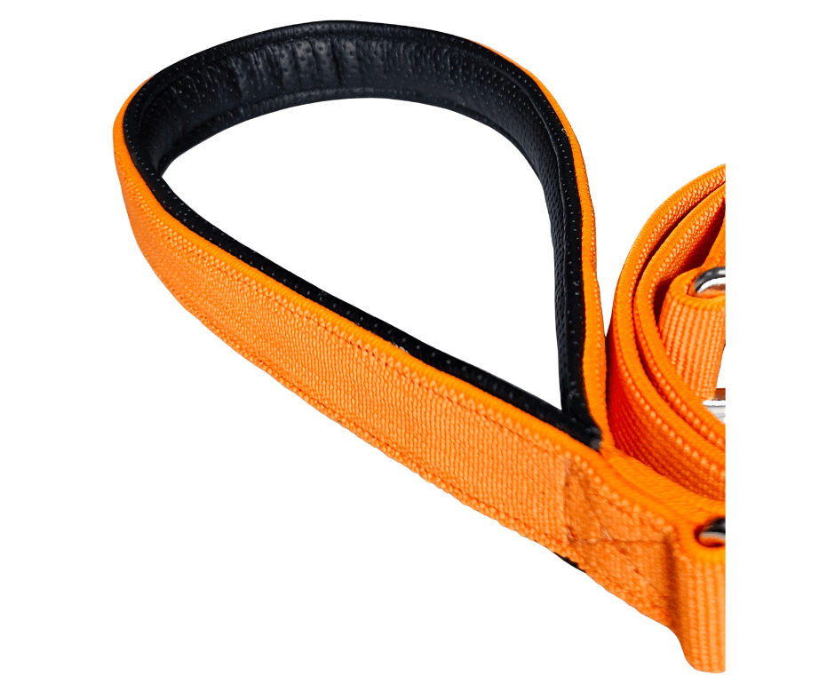 Durable orange dog collar with black lining for safety and comfort.