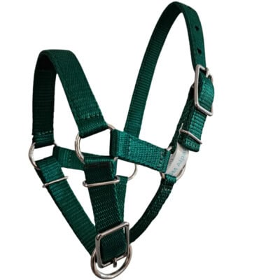 Alpaca Halter, adjustable alpaca halter