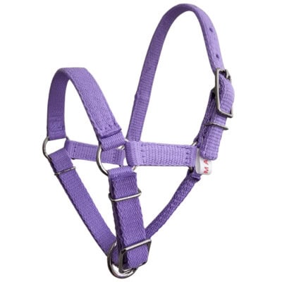 Alpaca halter, lavender