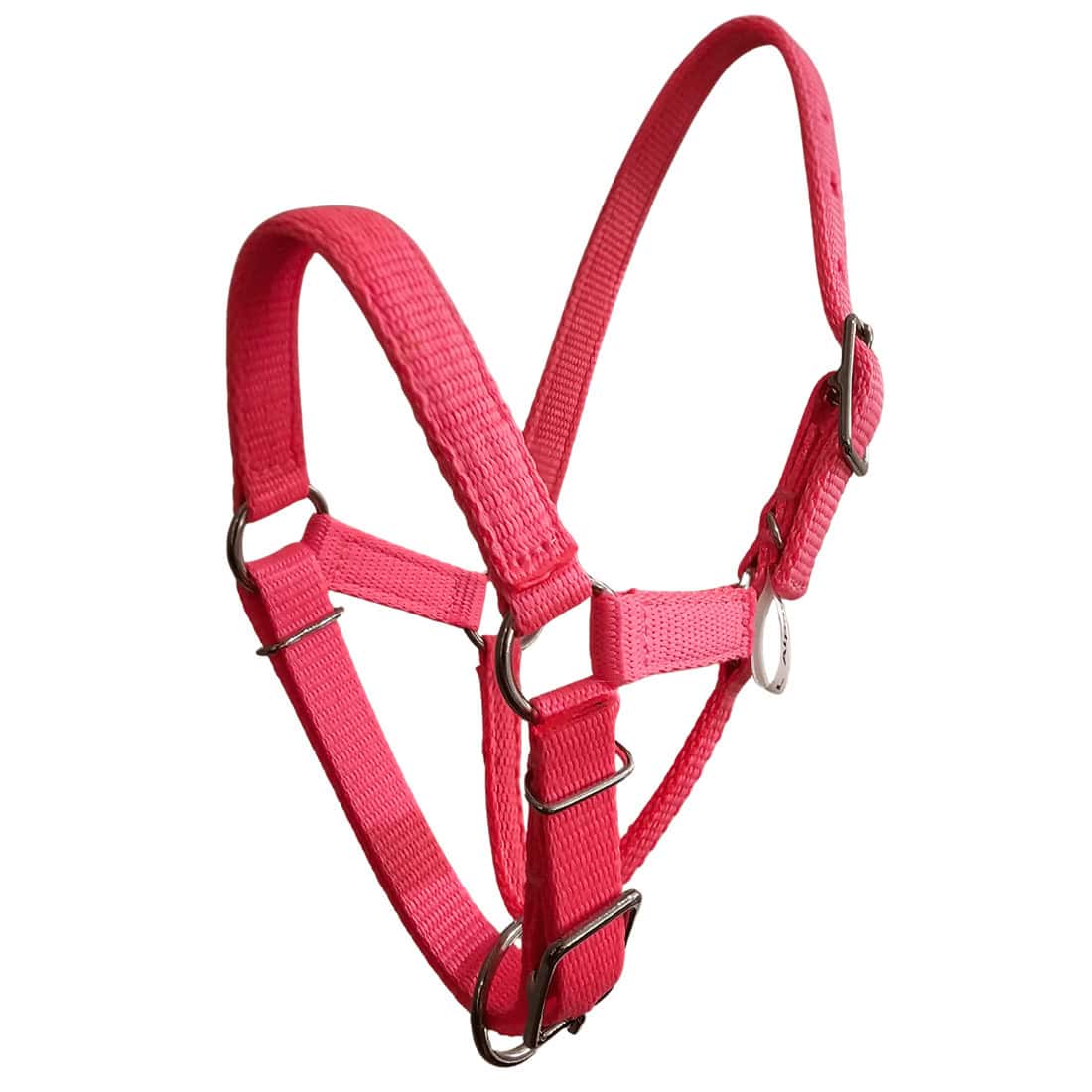 Alpaca Halter Australian Made - Image 2