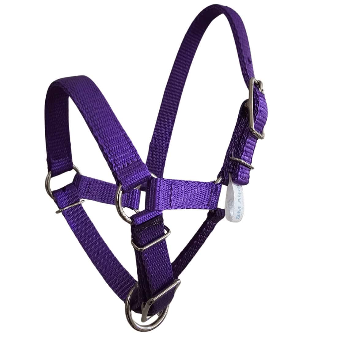 Alpaca Halter, alpaca training halter,