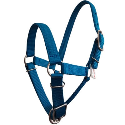 alpaca halter teal