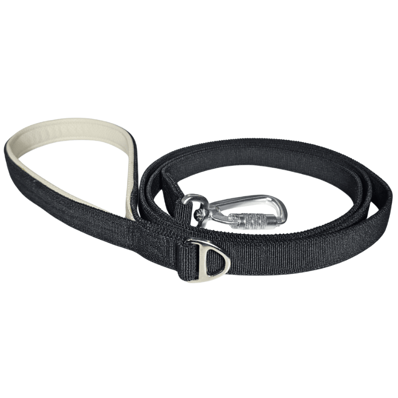 Bungee dog lead black