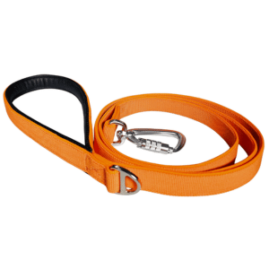 Bungee dog lead 6ft in orange