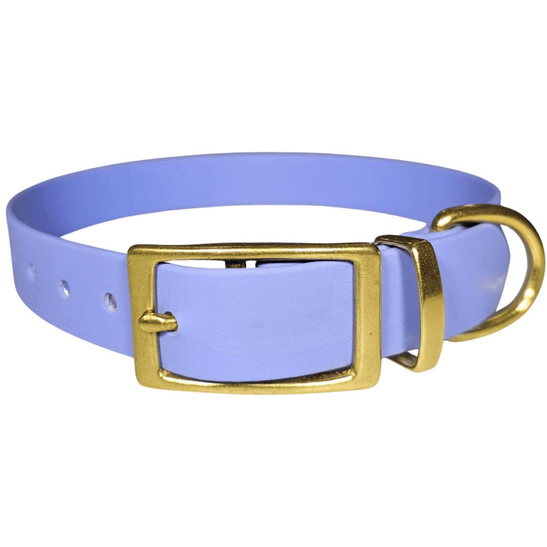 Dog collar biothane 25mm in Brass , large biothane dog collar, xlarge biothane dog collar, dog collar with brass buckles