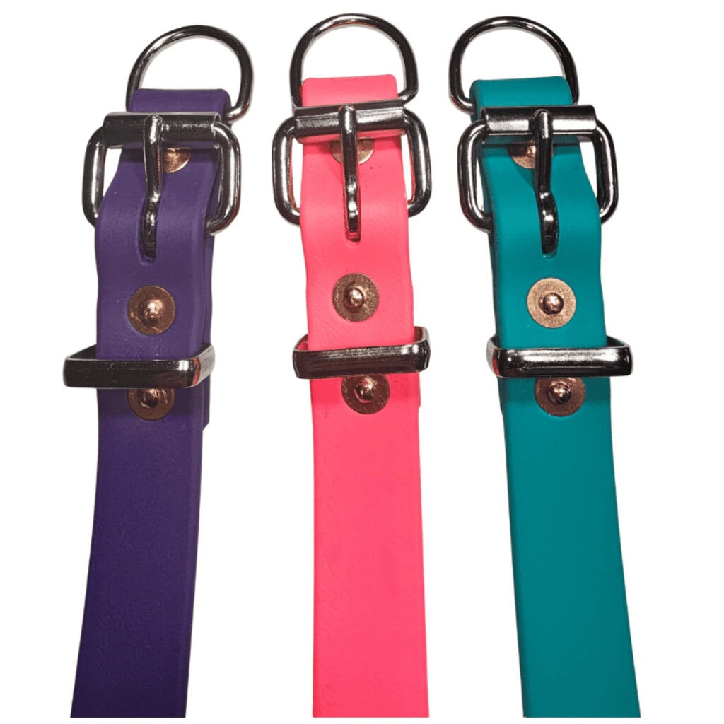 Colorful working dog collars with copper rivets in purple, pink, and teal.
